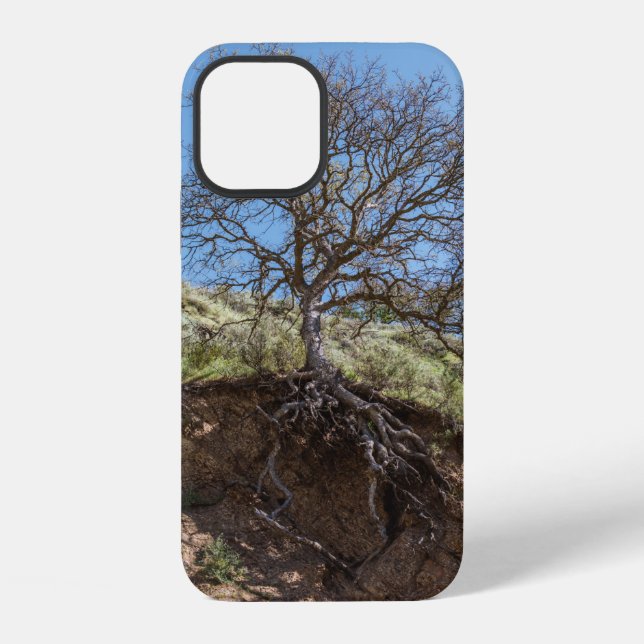 Bare tree on mountain during day iphone case (Back)