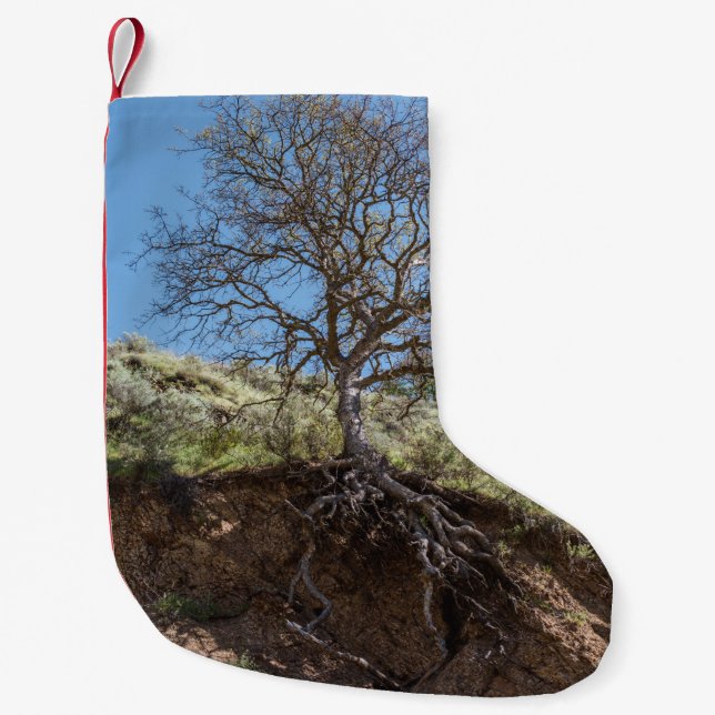 Bare tree on mountain during day small christmas stocking (Front)