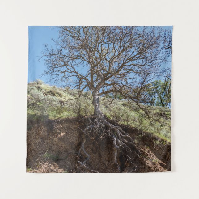 Bare tree on mountain during day tapestry (Front)