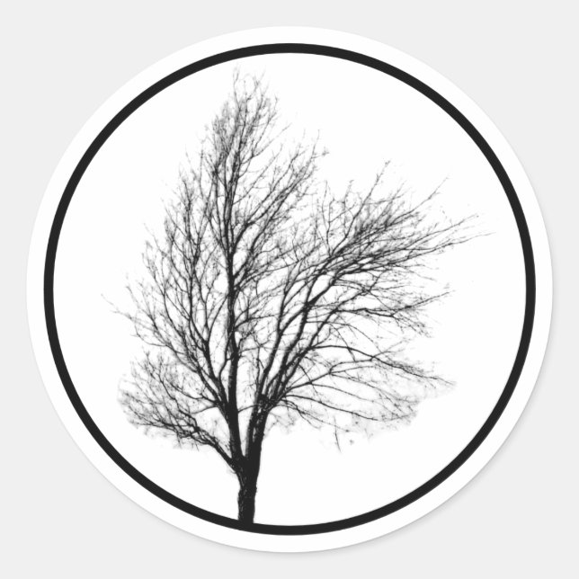 Bare Tree Silhouette Sticker (Front)