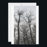 Bare Trees Cloudy Invitation<br><div class="desc">Bare Trees Cloudy</div>