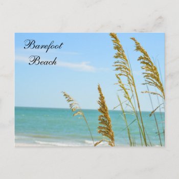 Barefoot Beach Postcard by PhotosfromFlorida at Zazzle
