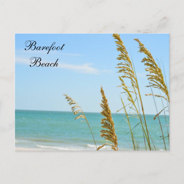 Barefoot Beach Postcard | Zazzle