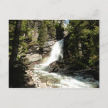 Baring Falls at Glacier National Park Postcard