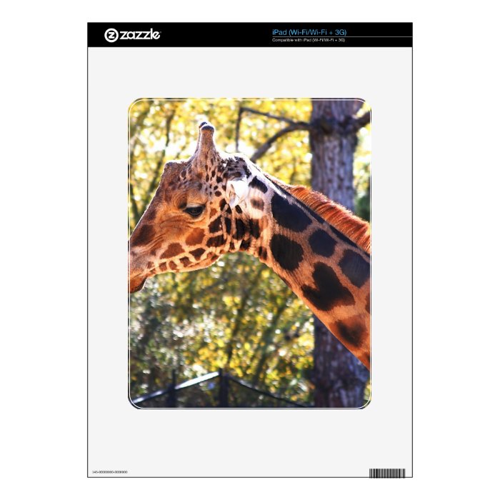 Baringo Giraffe Skin For The iPad