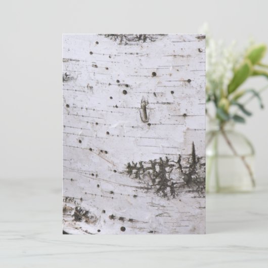 Bark (Standing Front)