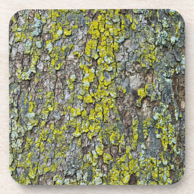Bark Beverage Coaster (Front)