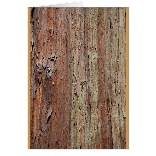 Bark Cards (Front)