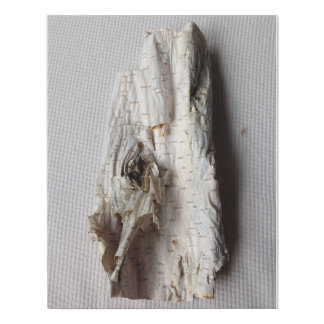 Bark Faux Canvas Print