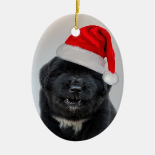 Bark Humbug Christmas Ornament