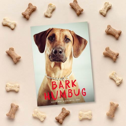 Bark Humbug Cute Funny Pet Dog Photo Holiday Card