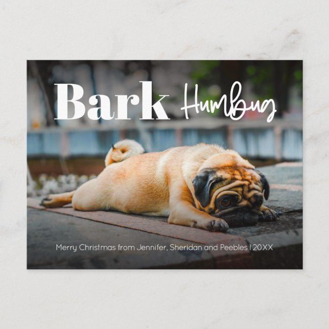 Bark Humbug Cute Modern Custom Photo  Holiday Post Postcard (Front)