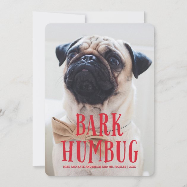 Bark Humbug Cute Puppy Dog | Holiday Photo