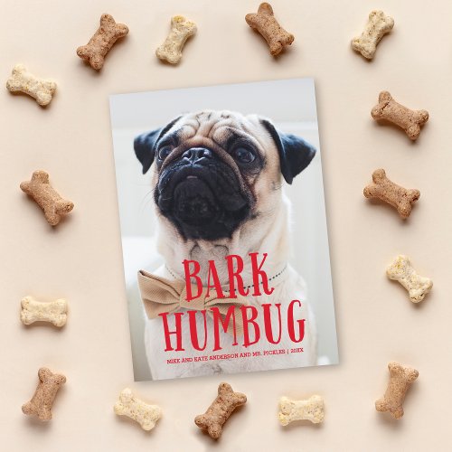 Bark Humbug Cute Puppy Dog  Holiday Photo