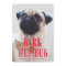 Bark Humbug Cute Puppy Dog | Holiday Photo