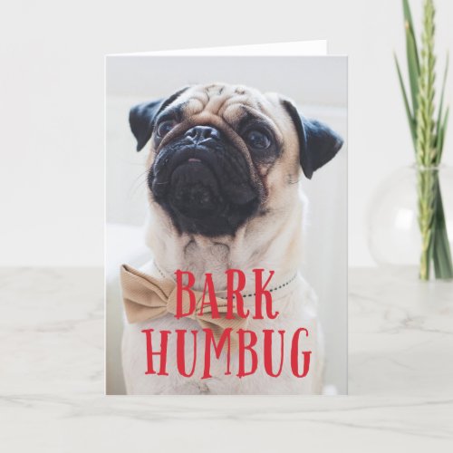 Bark Humbug Cute Puppy Dog  Holiday Photo Folded