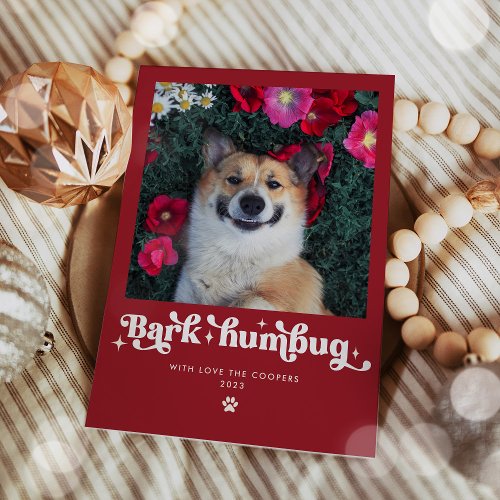 Bark Humbug Dog Photo Funny Christmas Holiday Card