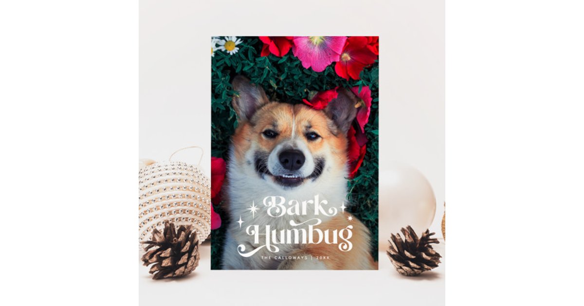BARK HUMBUG Funny Dog Christmas Holiday Card | Zazzle