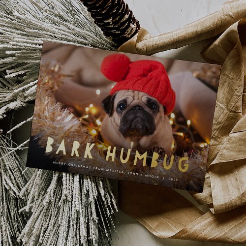 Bark Humbug  Pet Photo Foil Holiday Card