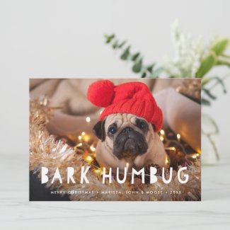 Bark Humbug | Pet Photo Holiday Card