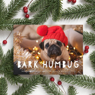 Bark Humbug   Pet Photo Holiday Card
