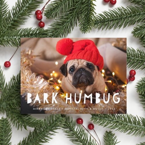 Bark Humbug  Pet Photo Holiday Card