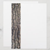 Bark of plane tree (Front/Back)