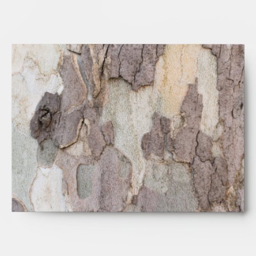 Bark of plane tree envelope