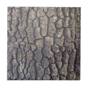 Bark of plane tree tile