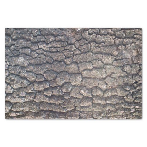 Bark of plane tree tissue paper