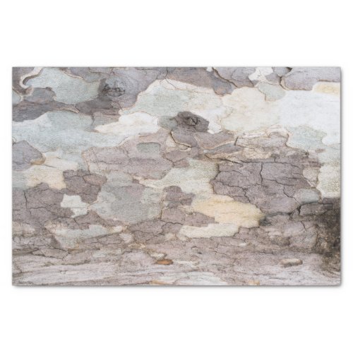 Bark of plane tree tissue paper