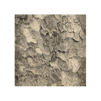 bark of tree on wood art