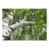 BARK TREE (Front Horizontal)