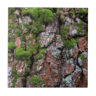 Bark tree ceramic tile