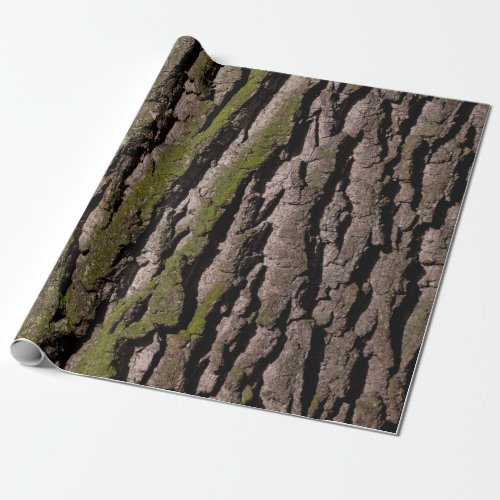Bark tree oak moss trunk wood wrapping paper