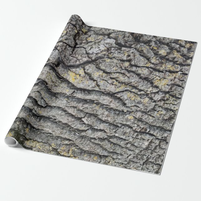 Bark wooden pattern wrapping paper (Unrolled)
