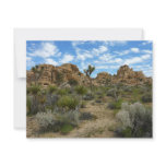 Barker Dam Loop Trail at Joshua Tree National Park