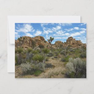 Barker Dam Loop Trail at Joshua Tree National Park