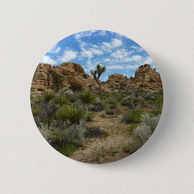 Barker Dam Loop Trail at Joshua Tree National Park Button (Front)