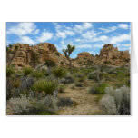 Barker Dam Loop Trail at Joshua Tree National Park Card