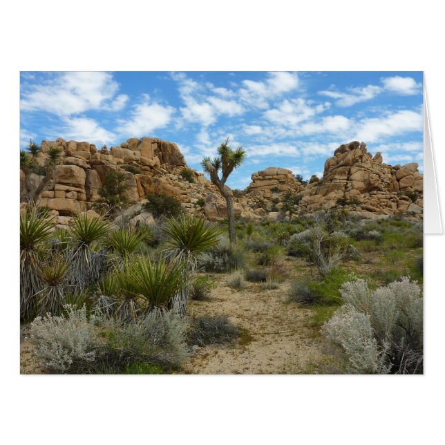 Barker Dam Loop Trail at Joshua Tree National Park Card (Front Horizontal)
