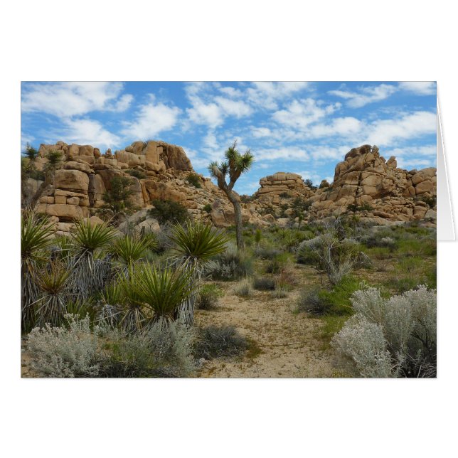 Barker Dam Loop Trail at Joshua Tree National Park Cards (Front Horizontal)