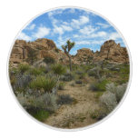 Barker Dam Loop Trail at Joshua Tree National Park Ceramic Knob