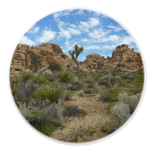 Barker Dam Loop Trail at Joshua Tree National Park Ceramic Knob (Front)