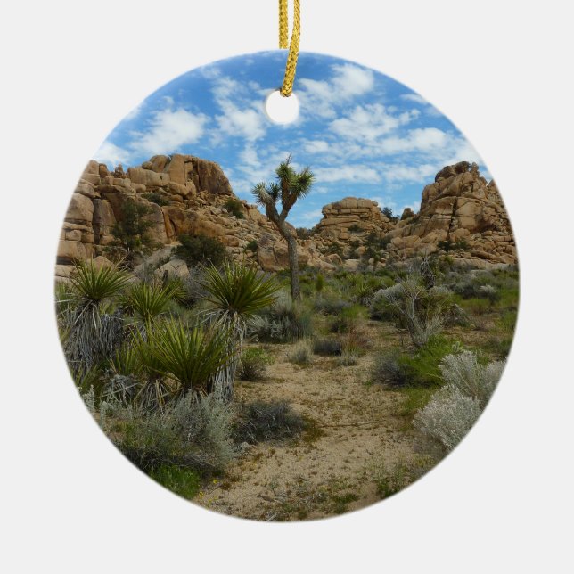 Barker Dam Loop Trail at Joshua Tree National Park Ceramic Ornament (Front)