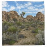 Barker Dam Loop Trail at Joshua Tree National Park Cloth Napkin