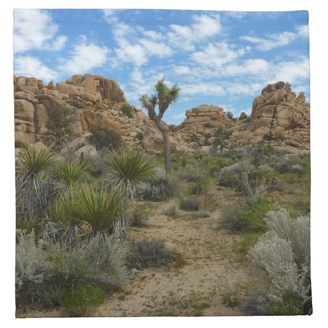 Barker Dam Loop Trail at Joshua Tree National Park Cloth Napkin (Front)