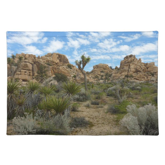 Barker Dam Loop Trail at Joshua Tree National Park Cloth Placemat (Front)