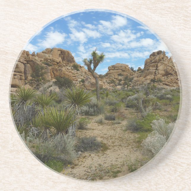 Barker Dam Loop Trail at Joshua Tree National Park Coaster (Front)