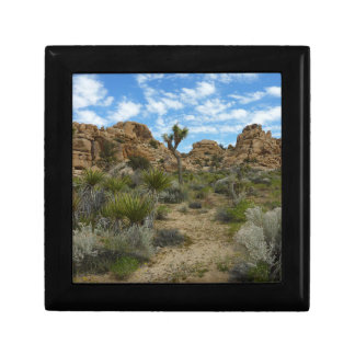 Barker Dam Loop Trail at Joshua Tree National Park Gift Box